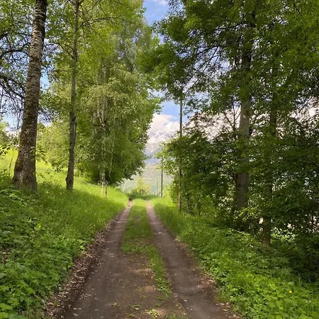 Le Mayen De Lucien Et Therese - Jacuzzi, Valais 格荣